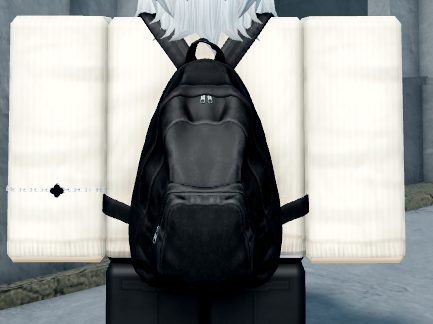 Back cover image